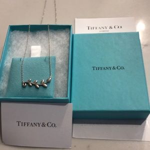 Tiffany &Co necklace authentic